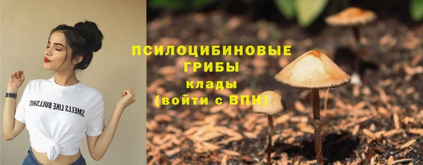 мет Абинск