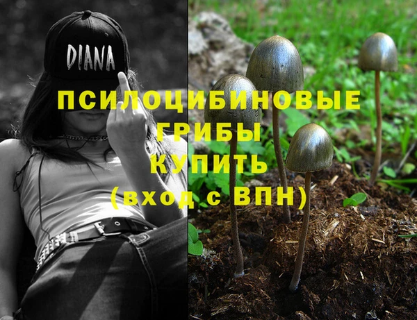 мет Абинск